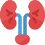 Fancy-Icon